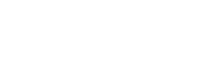 logo_perpet_v4